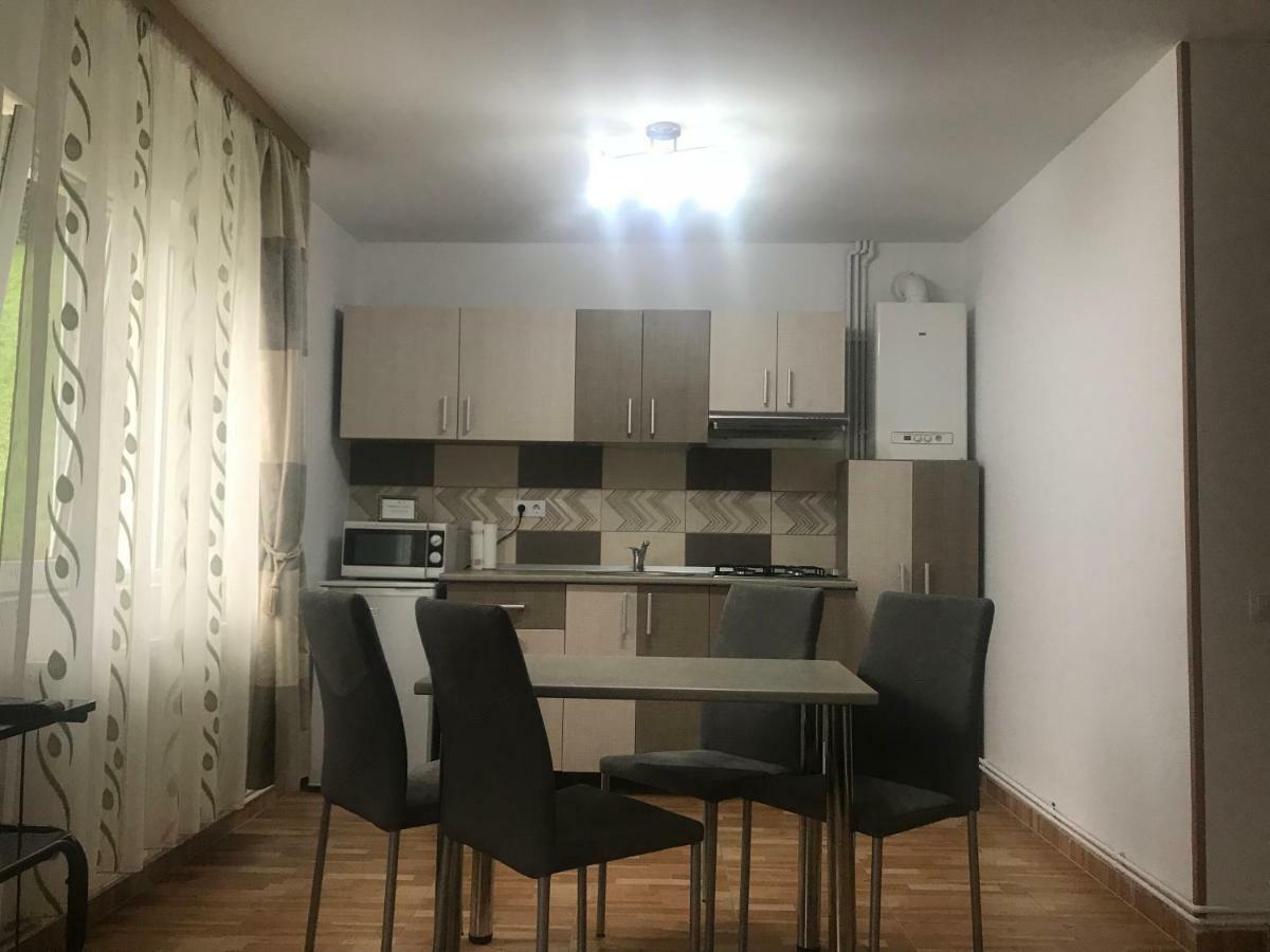 Garsoniera Family Buşteni Exterior foto